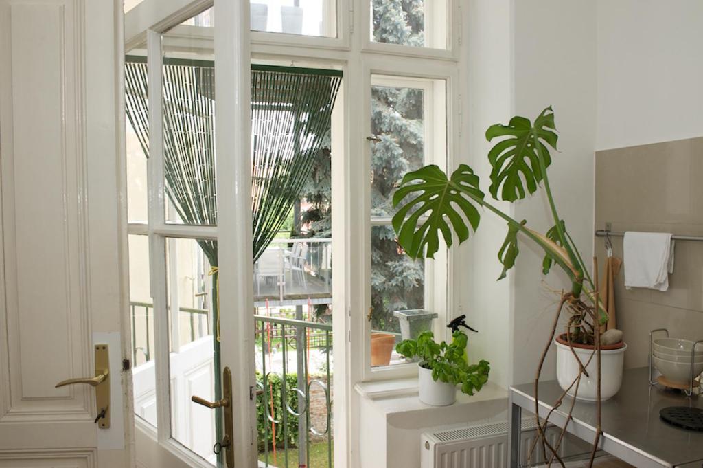 Wohnzimmer Krems an der Donau Rum bild